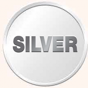 Silver edited pdf