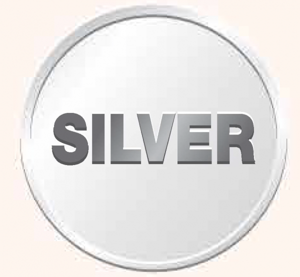 Silver edited pdf